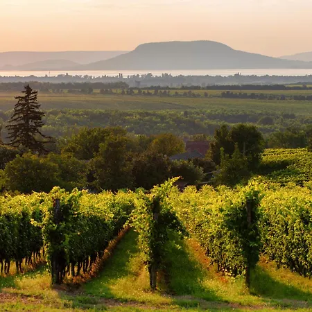 Appartement In 19196