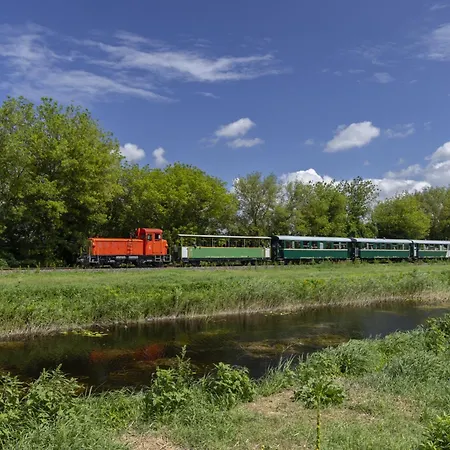 In 19196 Balatonmáriafürdő