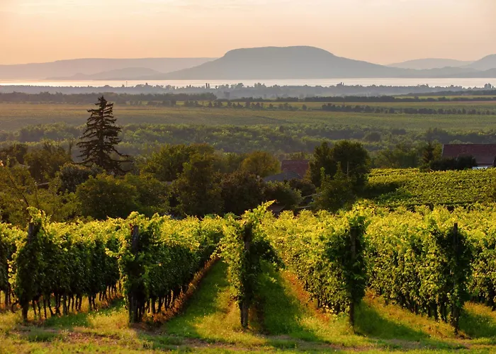 Appartement In 19196